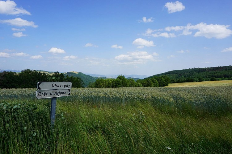 The little tour of the Crêt d'Arjoux - Monts du Lyonnais - Saint-Julien-sur-Bibost