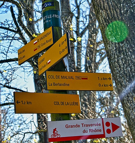 Let's walk in the woods - Monts du Lyonnais - Pollionnay