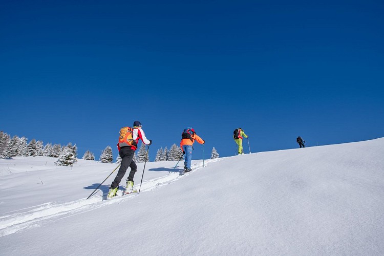 Itinéraire de ski de randonnée alpin - Les Chattrix / Porcherey