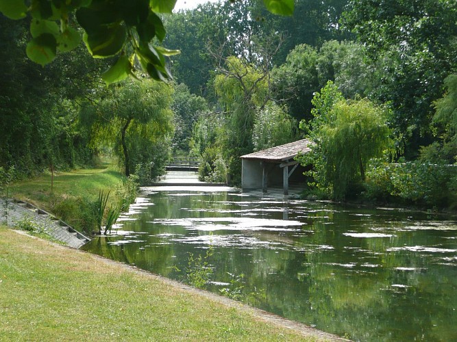 Randonnée pédestre dans le Marais poitevin : "Les Nattes" à Benet en Vendée
