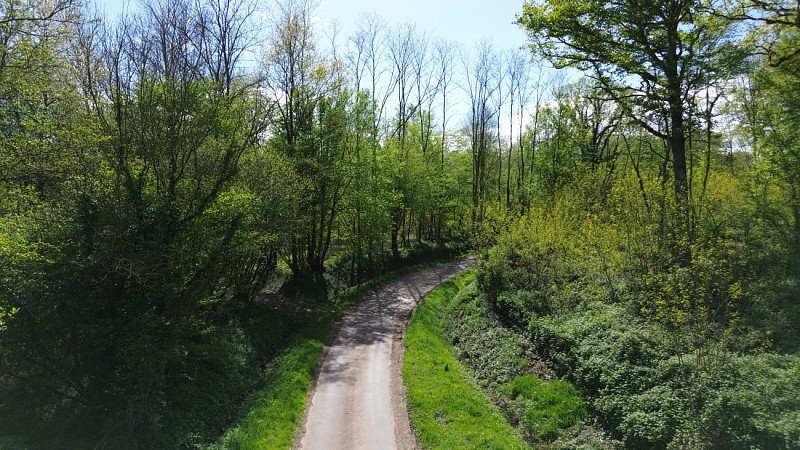 Sentier