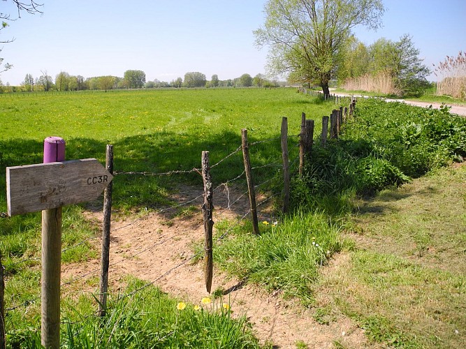 Sentier des hérons