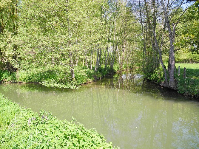 Sentier des hérons