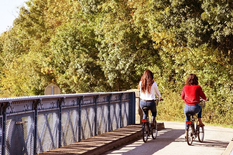 Entre Vignes et Saône