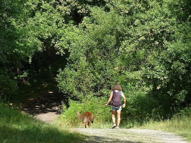 Lac Serres-Castet cph Syndicat Tourisme Béarn Madiran 2025 (53)