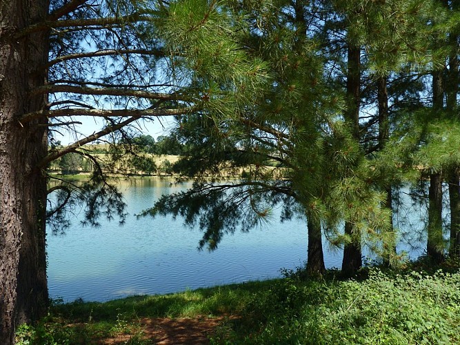 Lac de Serres-Castet - Tourisme Nord Béarn cph SMT NB
