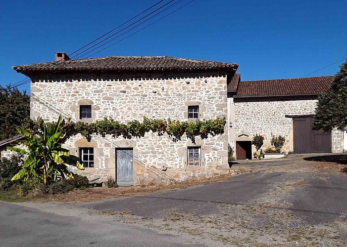 Sentier de la forêt