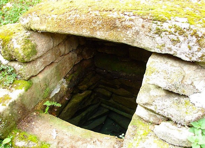 Sentier de la forêt