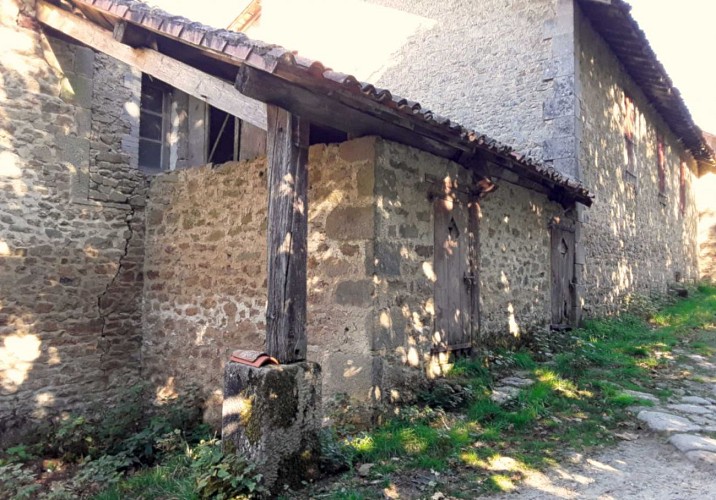 Sentier de la forêt