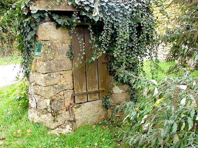 Sentier de la forêt