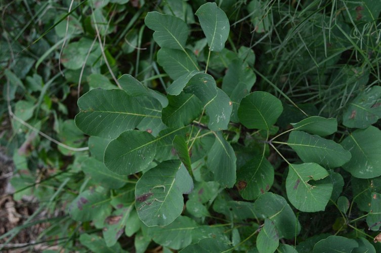 Rendez-vous à l'automne