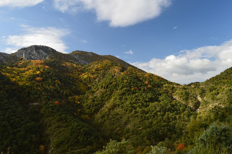 Le Mont Ours depuis le Col des Banquettes