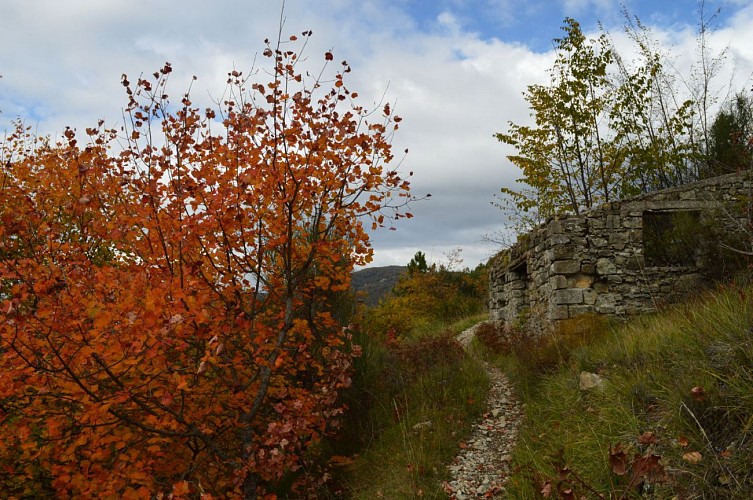 Ruine aux couleurs automnales sur le sentier