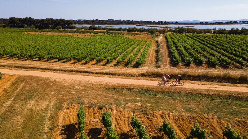 La Londe discovery tour - Between land and sea