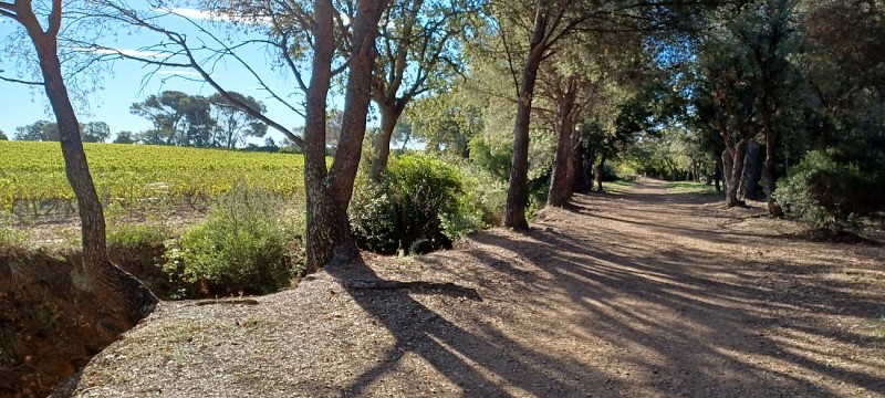 Tour de La Londe les Maures à vélo