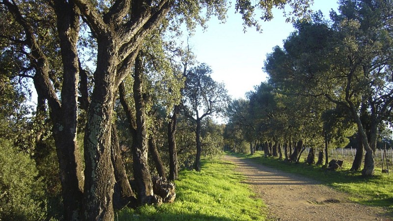 Tour de la Londe / Between land and sea