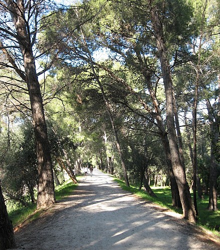 Tour de la Londe / Tra terra e mare