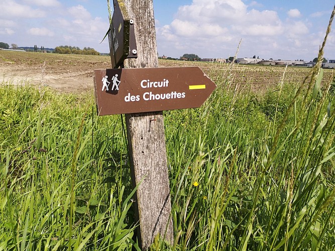 Circuit des chouettes