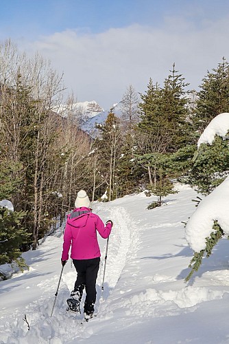 Along the Villard-Saint-Pancrace canal - pedestrian itinerary_Villar-Saint-Pancrace