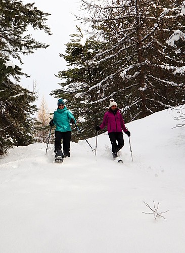 Along the Villard-Saint-Pancrace canal - pedestrian itinerary_Villar-Saint-Pancrace