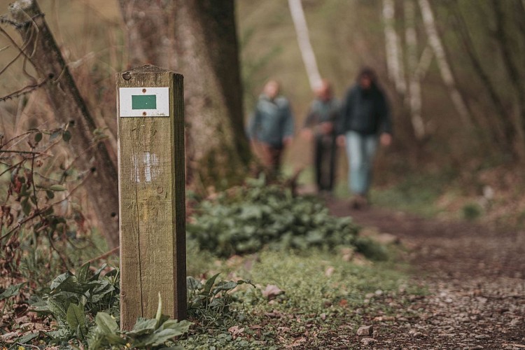 Hikers following a markup