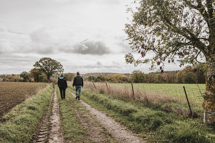 Promeneurs dans les champs à Froidchapelle