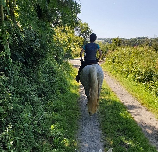 Une journée à cheval à Plouaret