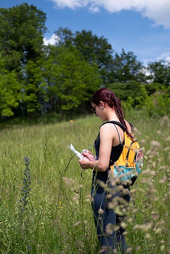 Chemin d'étonnement