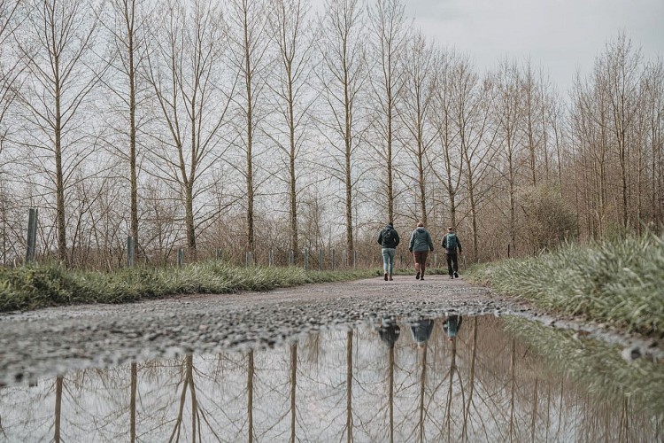 Wandelaars in Ham-sur-Heure/Nalinnes