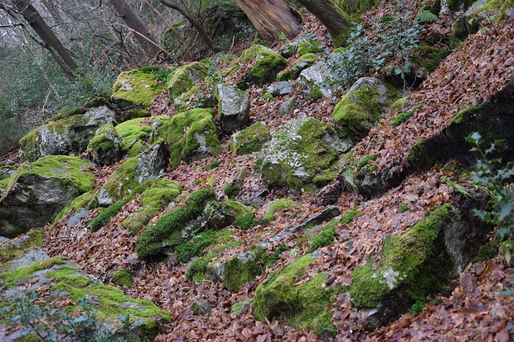 Fonds de Quarreux - rive droite