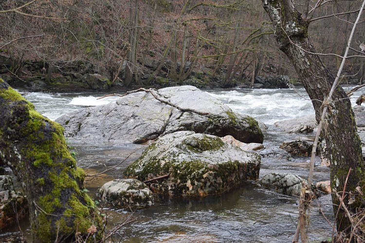 Fonds de Quarreux - rive droite