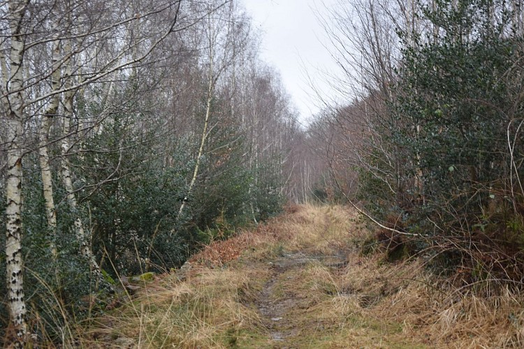 Fonds de Quarreux - rive droite
