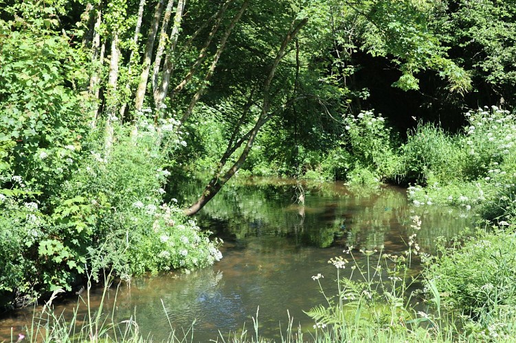 Tro-vélo 4 - Crinquettes à travers champs - OFFICIEL