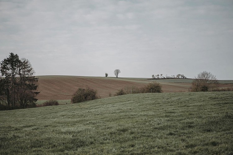 Promenade de Marbaix-la-Tour