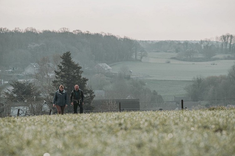 Hikers in Ham-sur-Heure/Nalinnes