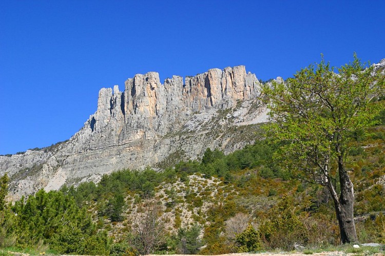 Cadières de Brandis