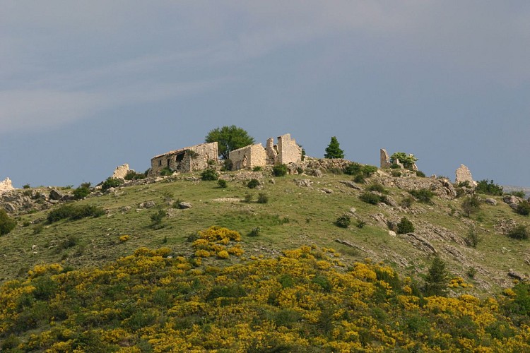 La Circulaire de Peyroules