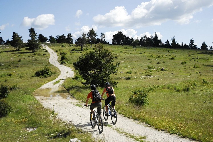 Chemins du Soleil dans le Haut-Verdon