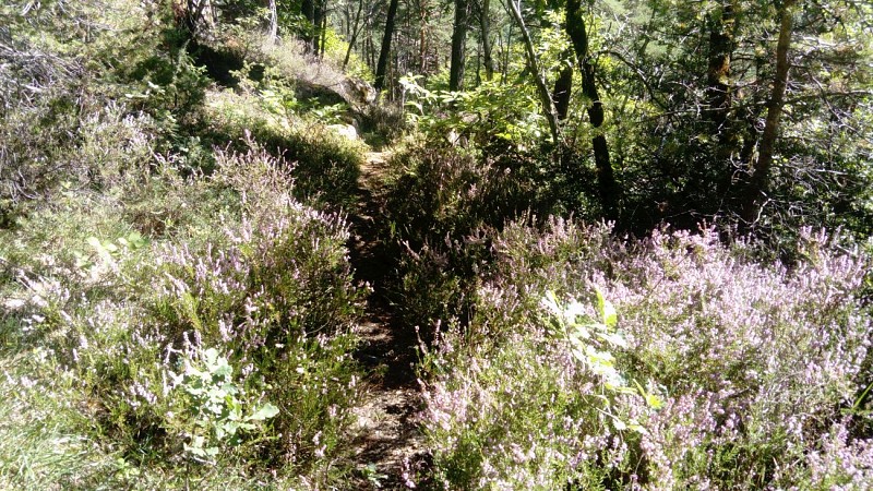 Sentier du Fugeret à Méailles