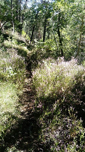 Sentier du Fugeret à Méailles