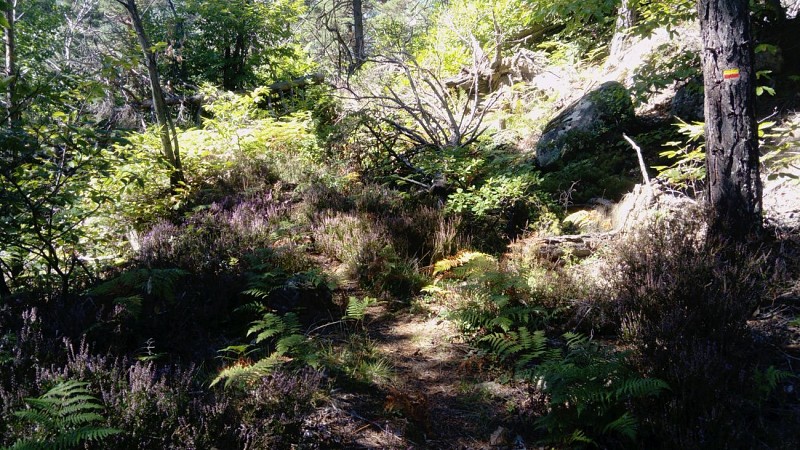 Sentier du Fugeret à Méailles