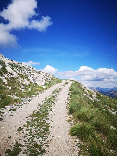 Sommet du Chiran par les Chauvets