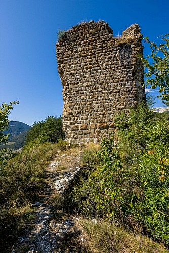 Sentier Botanique de la Tour