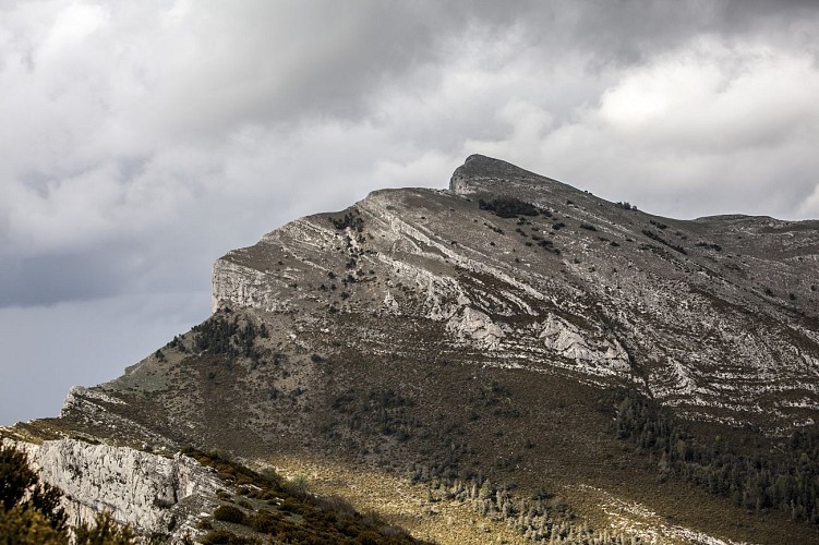 Le Sommet de Couar (1988 m)