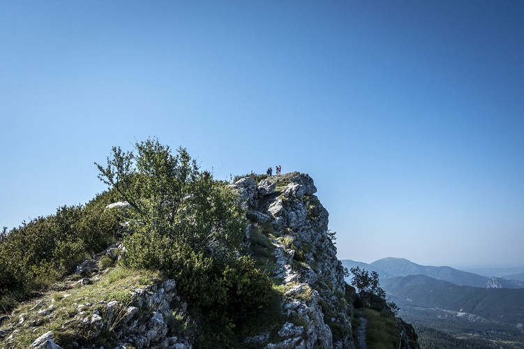 La Barre des Dourbes