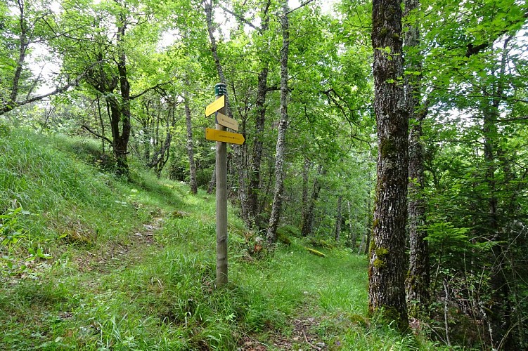 Le Seuil Saint André les Alpes