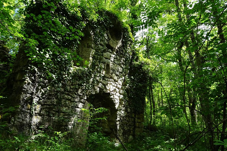 Le Seuil Saint André les Alpes