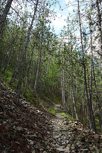 Le Seuil Saint André les Alpes