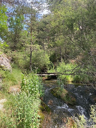 Le Tour des Champons