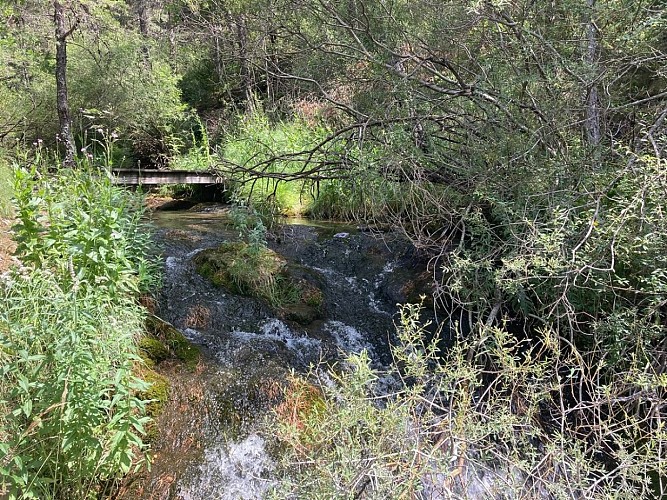 Le Tour des Champons